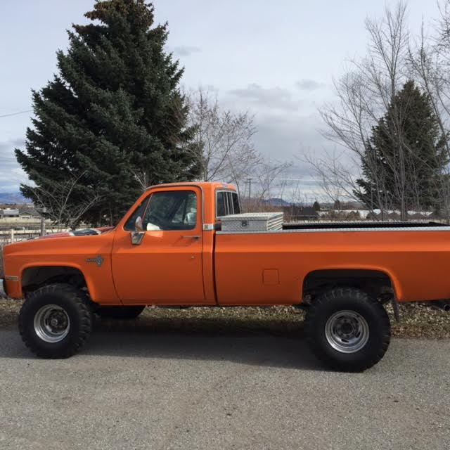 1982 Orange Chevrolet Other Pickups Regular Cab 