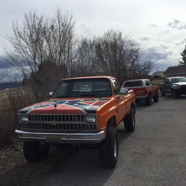 1982 Orange Chevrolet Other Pickups Regular Cab 