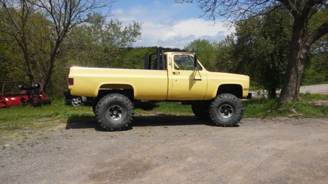 1982 Yellow Chevrolet C/K Pickup 2500 Standard Cab Pickup