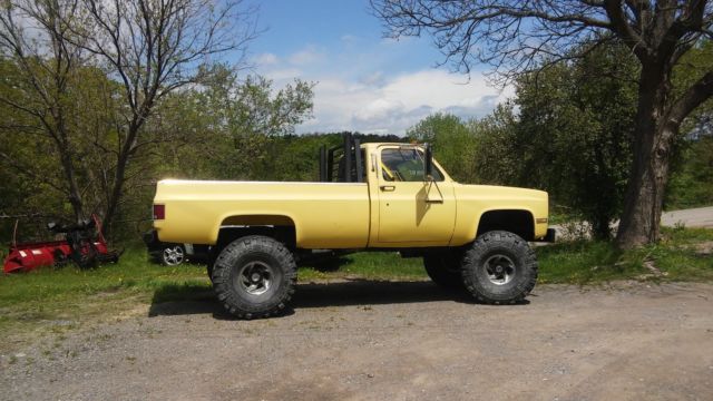 1982 Yellow Chevrolet C/K Pickup 2500 Standard Cab Pickup