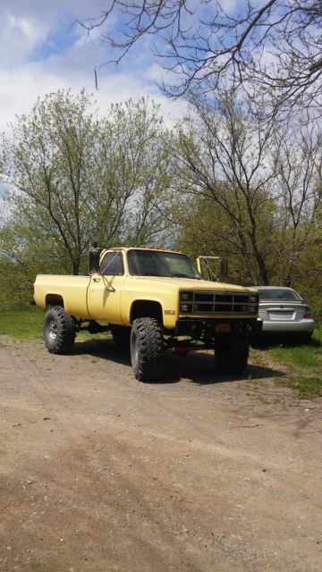 1982 Yellow Chevrolet C/K Pickup 2500 Standard Cab Pickup