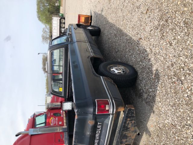 1982 Blue Chevrolet Other Pickups Standard Cab Pickup