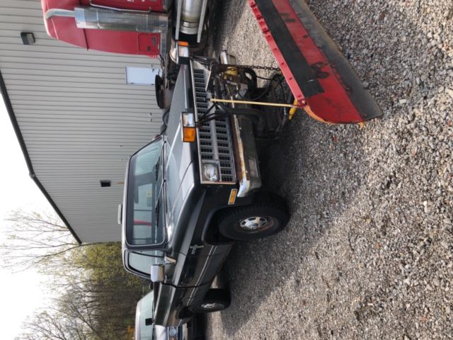 1982 Blue Chevrolet Other Pickups Standard Cab Pickup
