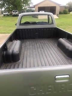 1982 Silver Chevrolet C-10 Standard Cab Pickup