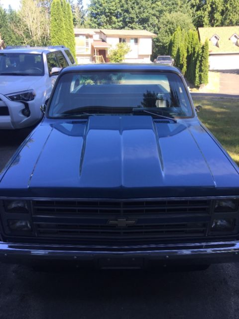 1982 Blue Chevrolet C-10