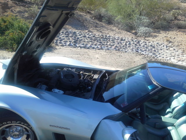 1982 Green Chevrolet Corvette Fastback