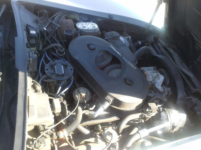 1982 Green Chevrolet Corvette Fastback