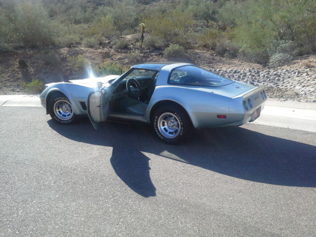 1982 Green Chevrolet Corvette Fastback