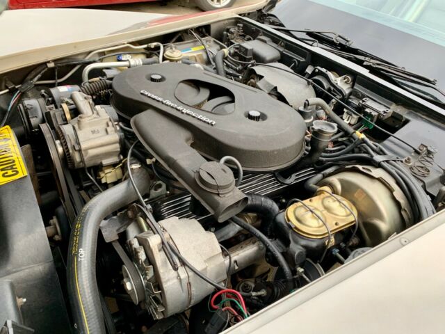 1982 Beige Chevrolet Corvette Hatchback