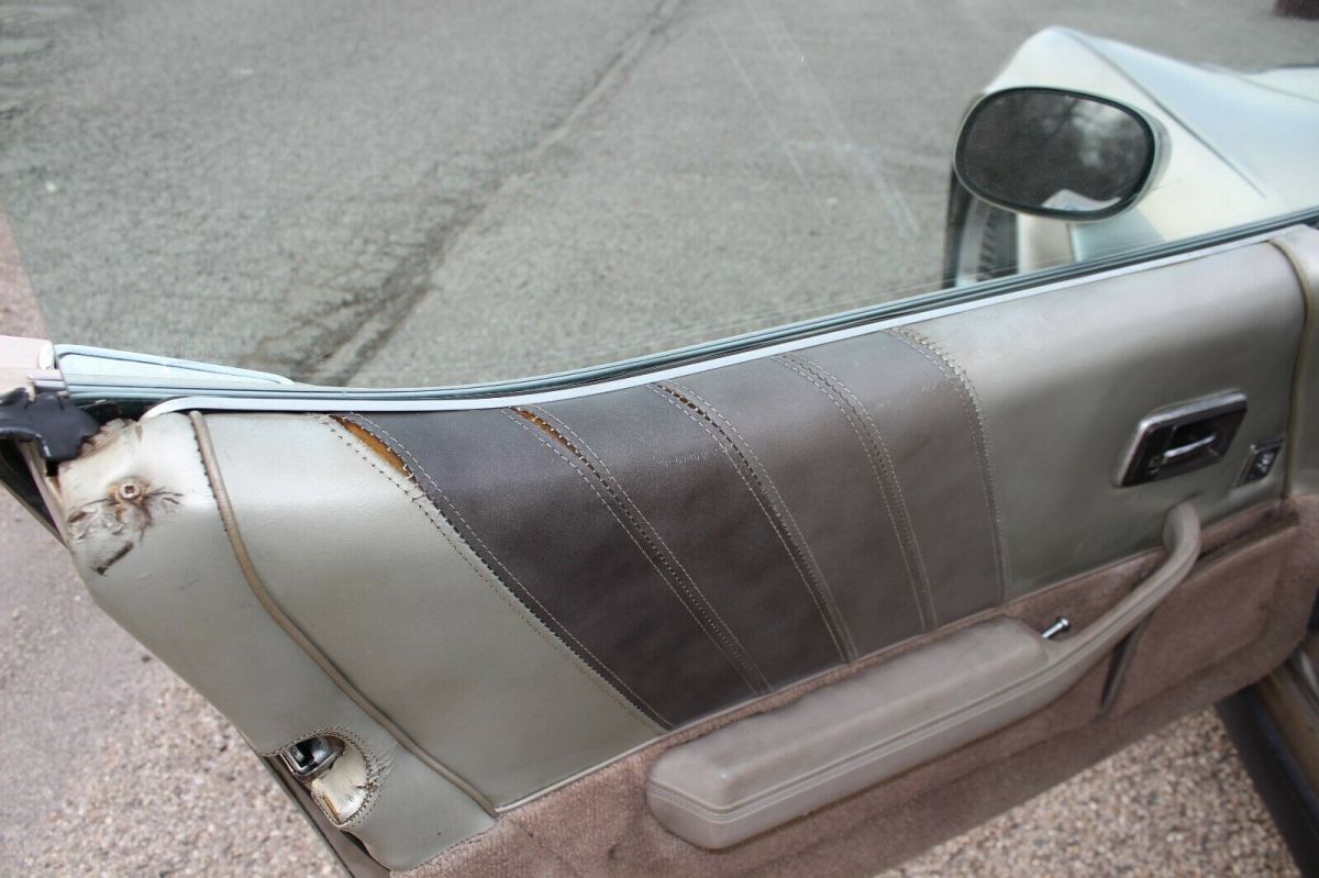 1982 Silver-Beige Metallic Chevrolet Corvette Hatchback