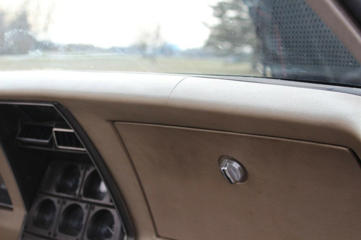 1982 Silver-Beige Metallic Chevrolet Corvette Hatchback