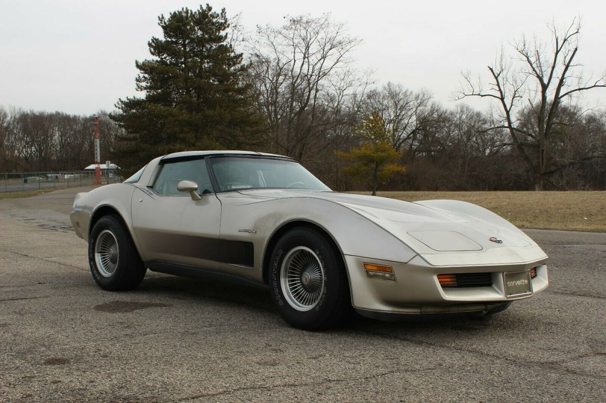1982 Silver-Beige Metallic Chevrolet Corvette Hatchback