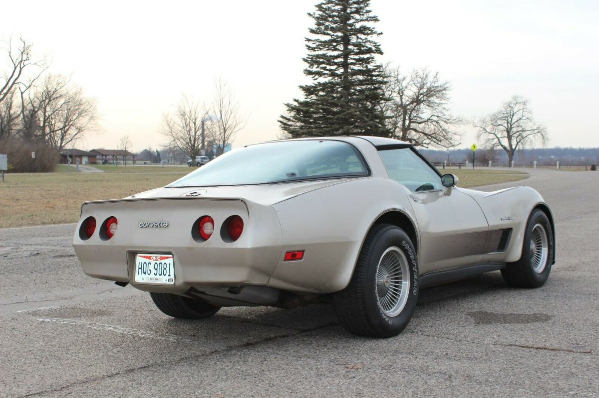 1982 Silver-Beige Metallic Chevrolet Corvette Hatchback