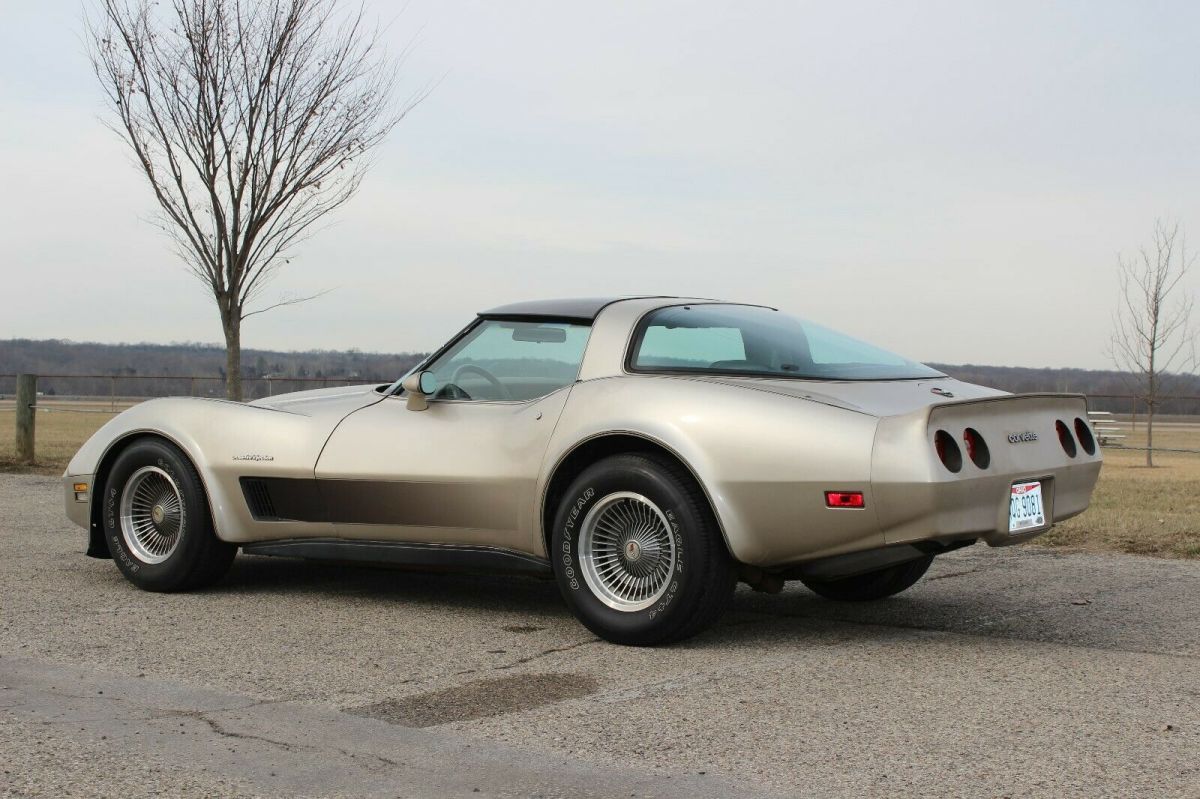 1982 Silver-Beige Metallic Chevrolet Corvette Hatchback