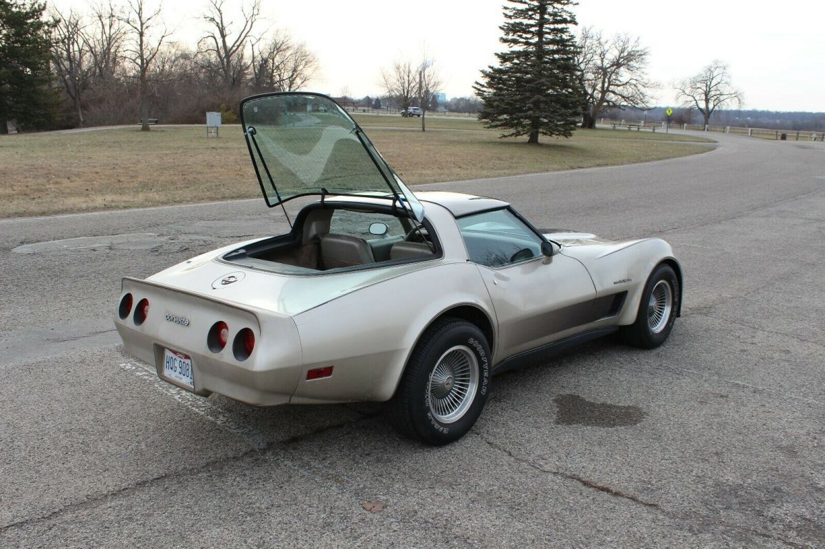 1982 Silver-Beige Metallic Chevrolet Corvette Hatchback