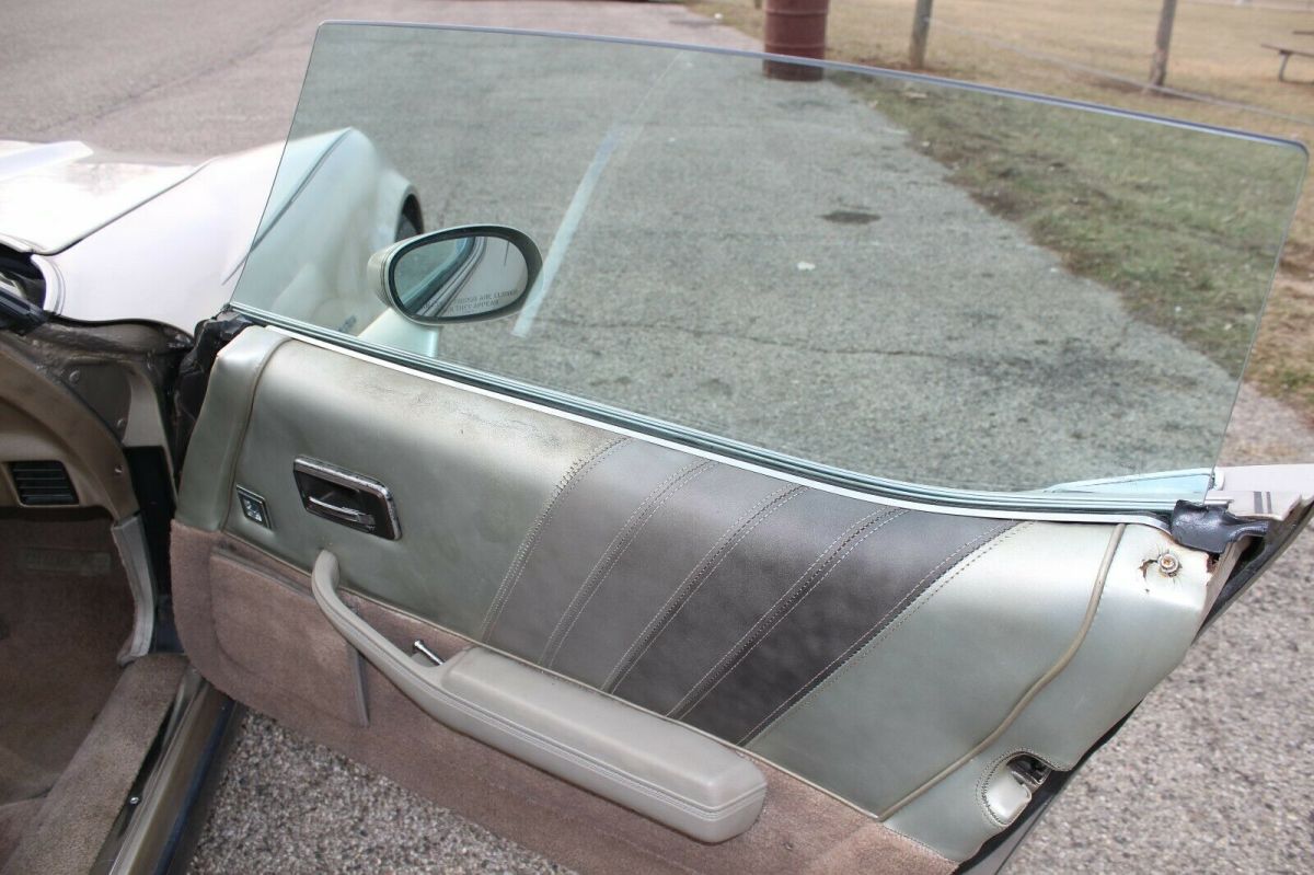 1982 Silver-Beige Metallic Chevrolet Corvette Hatchback