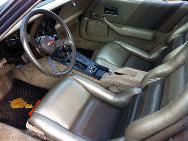 1982 Champagne Chevrolet Corvette Coupe