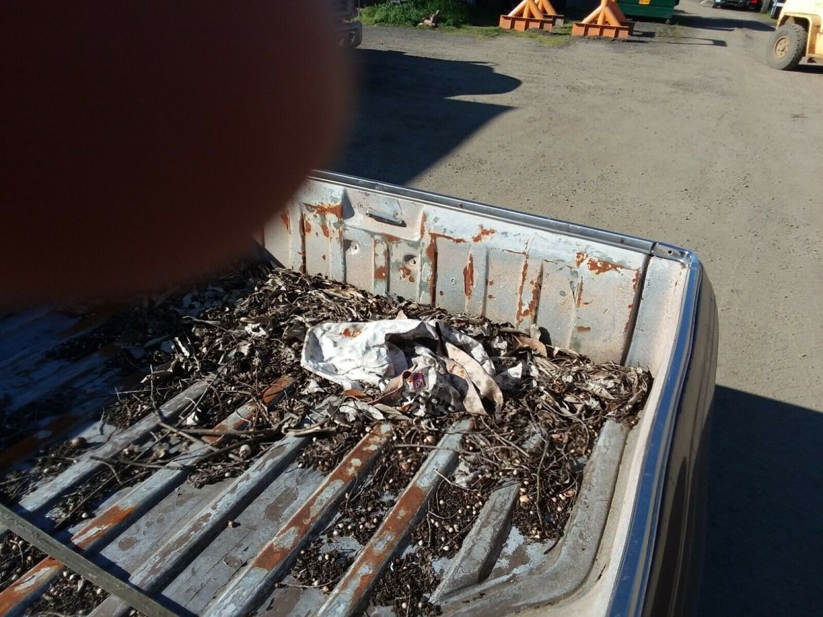 1982 Chevrolet El Camino