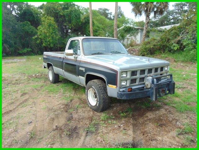 1980 Gray Chevrolet C/K Pickup 1500 Pickup Truck