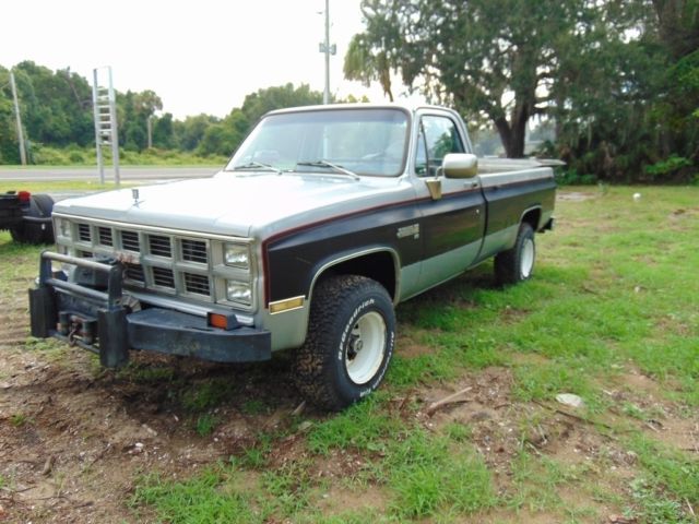 1980 Gray Chevrolet C/K Pickup 1500 Pickup Truck