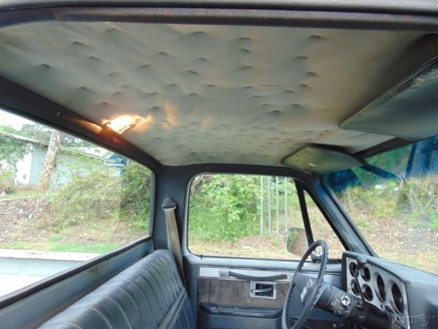 1980 Gray Chevrolet C/K Pickup 1500 Pickup Truck