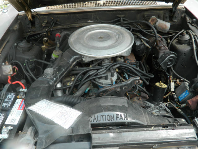 1982 Gold Ford Thunderbird Coupe