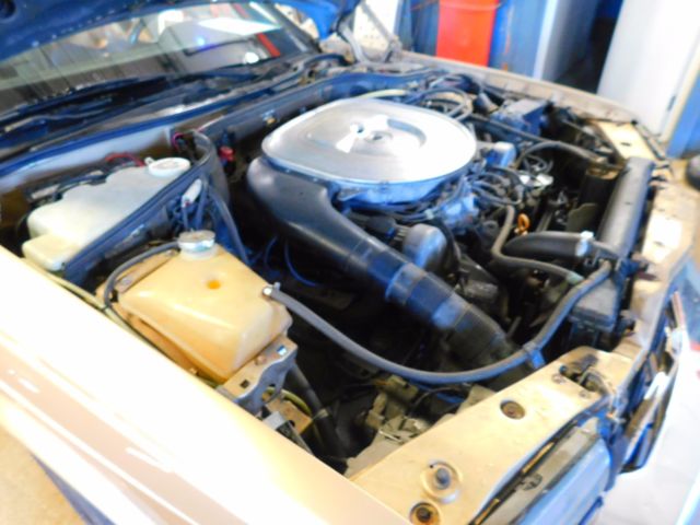 1982 Gold Mercedes-Benz 500-Series Sedan