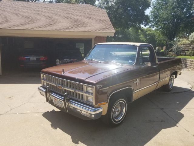 1982 Brown Chevrolet Silverado 1500 Standard Cab Pickup