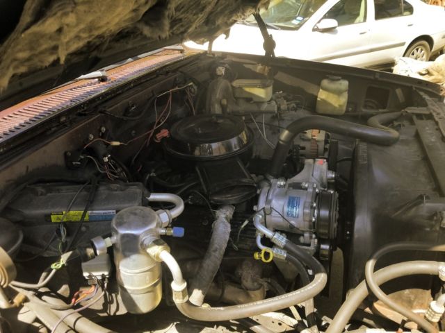 1982 Brown Chevrolet Silverado 1500 Standard Cab Pickup