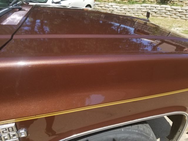 1982 Brown Chevrolet Silverado 1500 Standard Cab Pickup