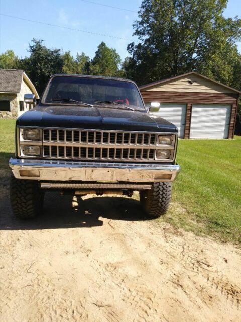 1980 Chevrolet C/K Pickup 2500 Standard Cab Pickup