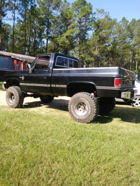 1980 Chevrolet C/K Pickup 2500 Standard Cab Pickup