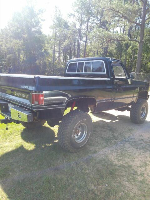 1980 Chevrolet C/K Pickup 2500 Standard Cab Pickup