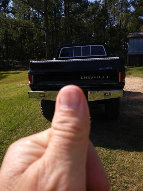 1980 Chevrolet C/K Pickup 2500 Standard Cab Pickup