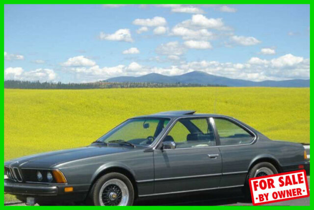 1983 Gray BMW 633Csi Coupe