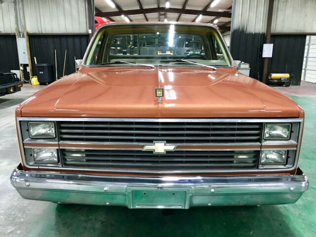1983 Bronze Metallic/ Bronze Chevrolet C-10 --