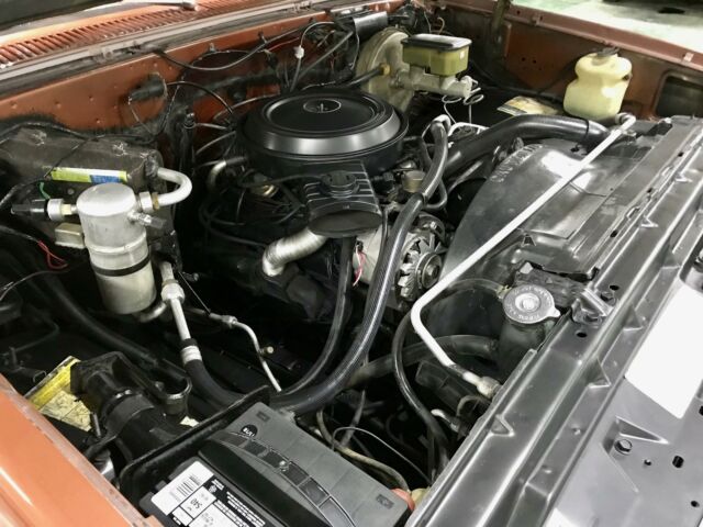 1983 Bronze Metallic/ Bronze Chevrolet C-10 --