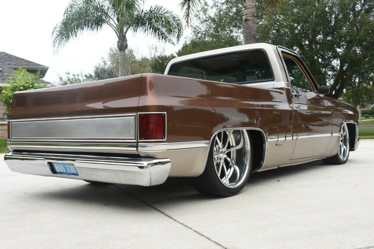 1983 Brown Chevrolet C-10 Standard Cab Pickup