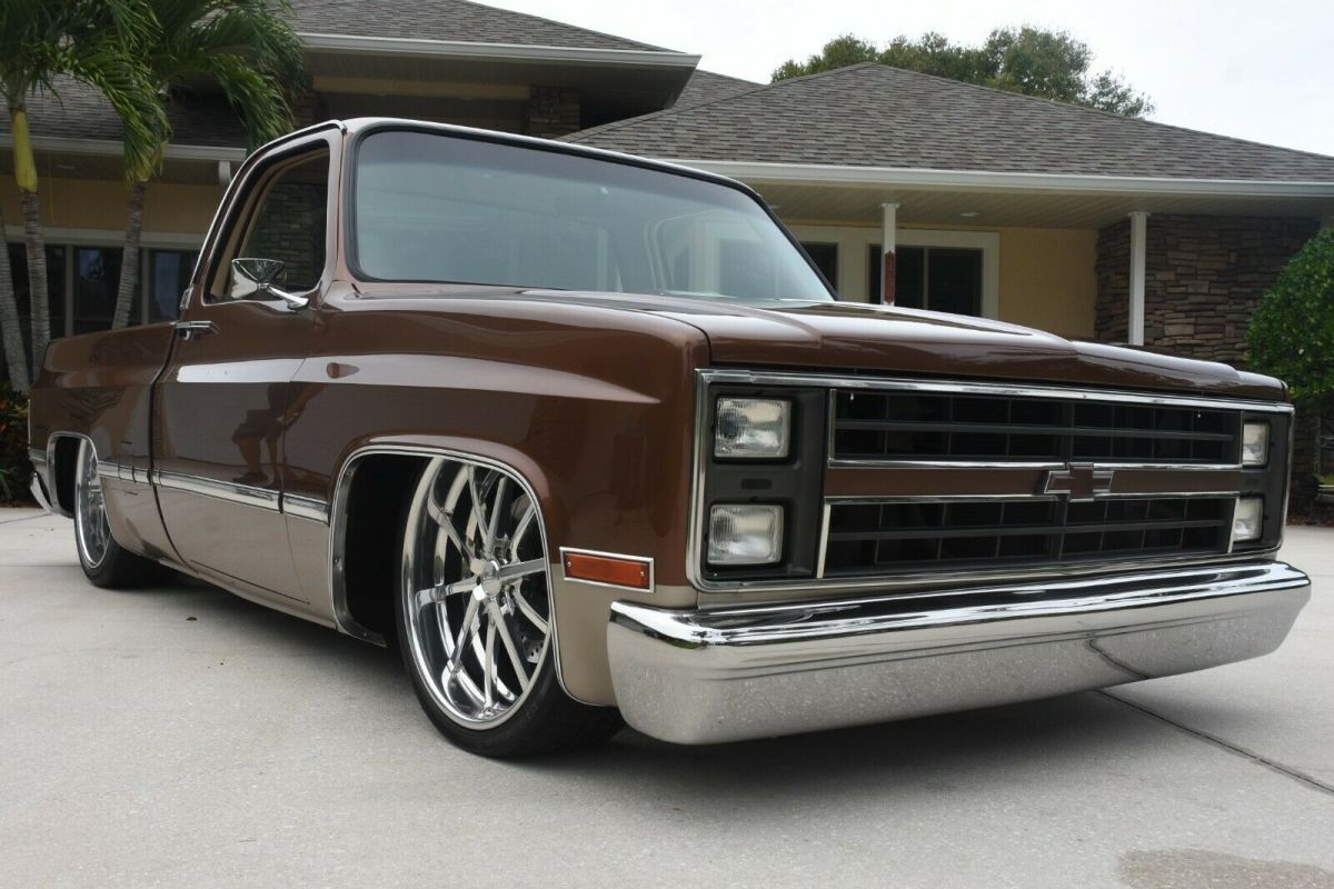 1983 Brown Chevrolet C-10 Standard Cab Pickup