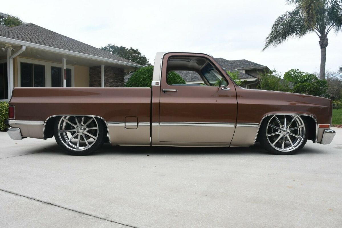1983 Brown Chevrolet C-10 Standard Cab Pickup