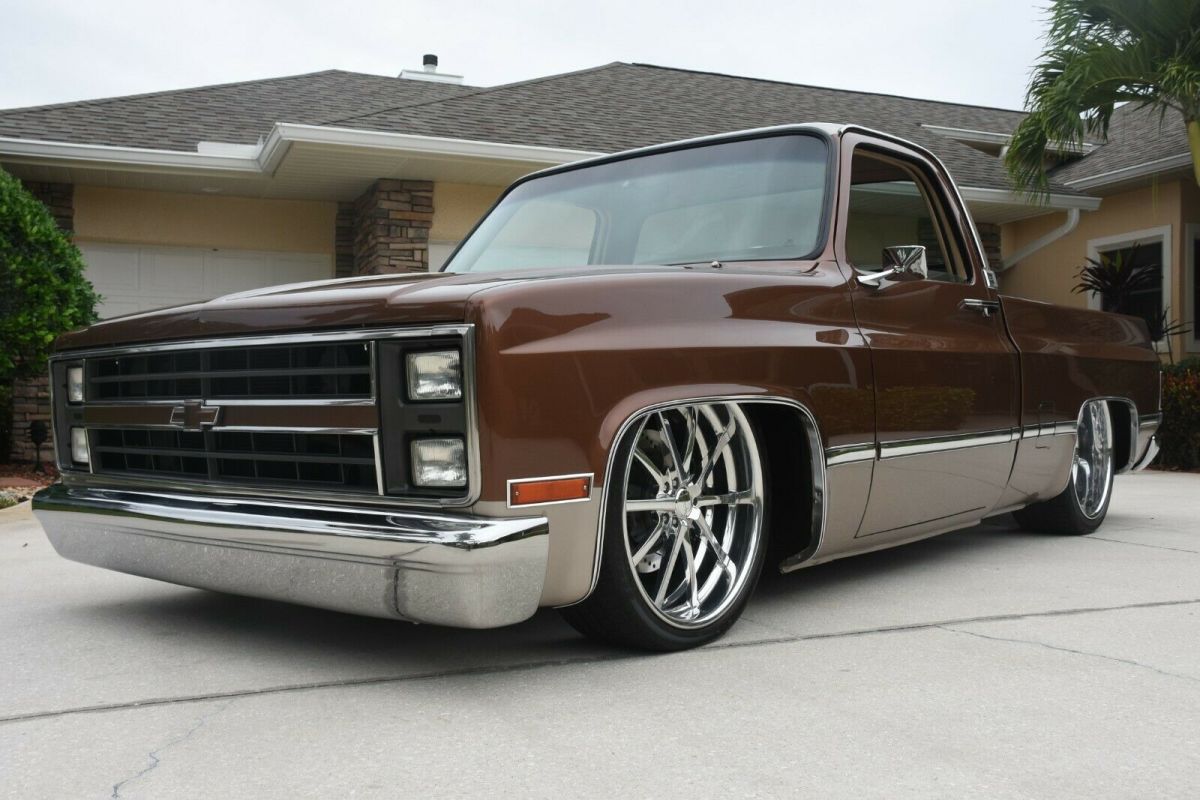 1983 Brown Chevrolet C-10 Standard Cab Pickup