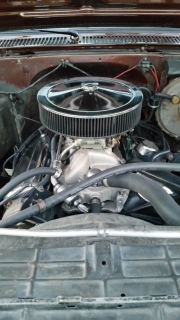 1983 Brown Chevrolet C-10 Standard Cab Pickup