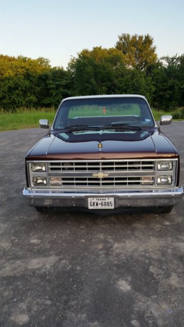 1983 Brown Chevrolet C-10 Standard Cab Pickup