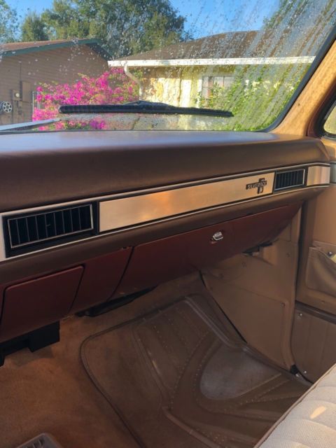 1983 Brown Chevrolet C-10 Standard Cab Pickup