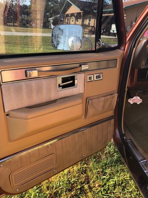 1983 Brown Chevrolet C-10 Standard Cab Pickup
