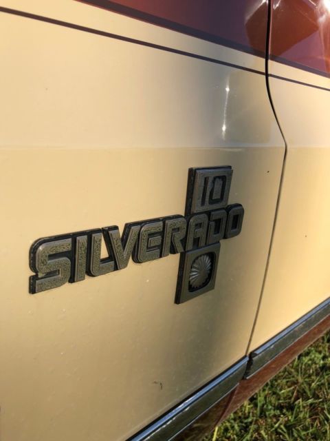 1983 Brown Chevrolet C-10 Standard Cab Pickup