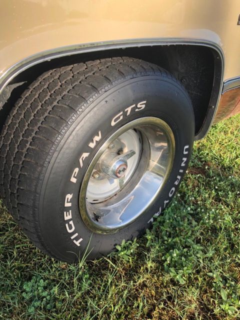 1983 Brown Chevrolet C-10 Standard Cab Pickup