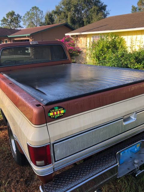 1983 Brown Chevrolet C-10 Standard Cab Pickup