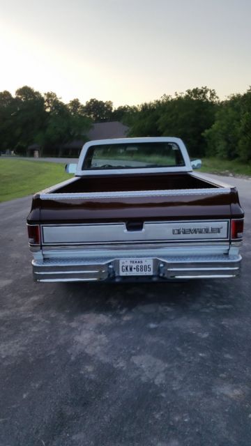1983 Brown Chevrolet C-10 Standard Cab Pickup