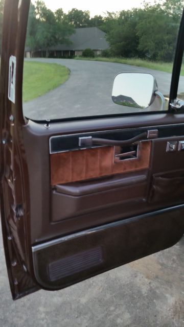 1983 Brown Chevrolet C-10 Standard Cab Pickup
